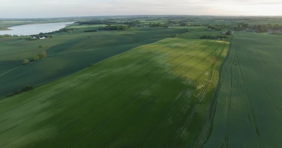 The lake lines the long green field