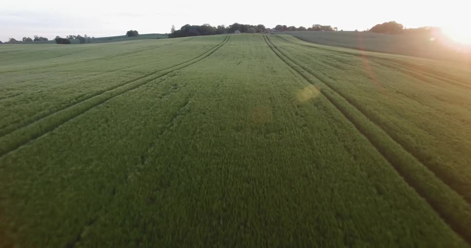 Grass and crops cover the farmland