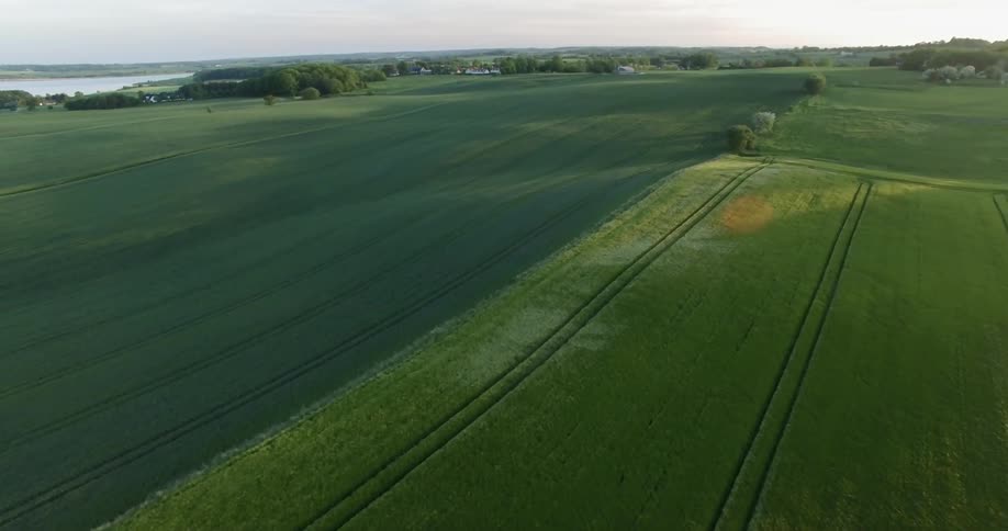 Green fields on flat land on a cloudy day