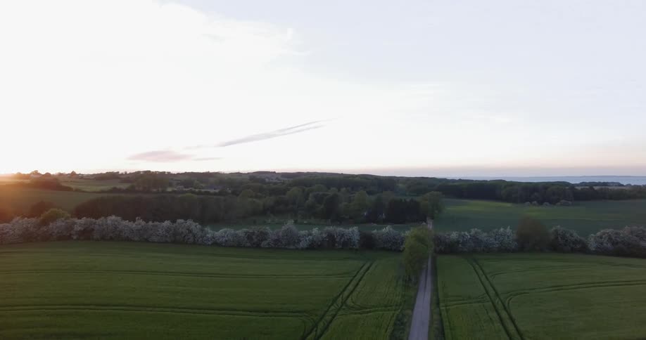 Green fields sit under a sunny sky