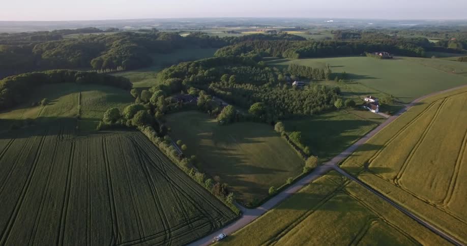 Grass and trees cover the plains landscape