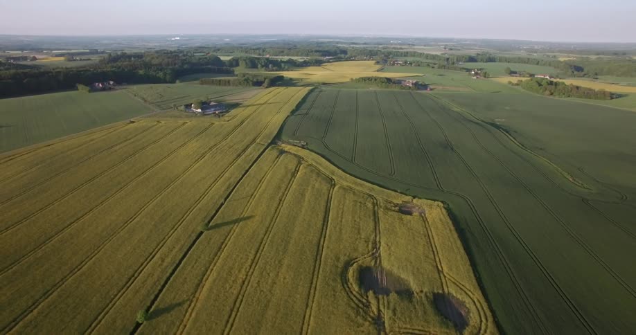 Grass and crops cover the farmland
