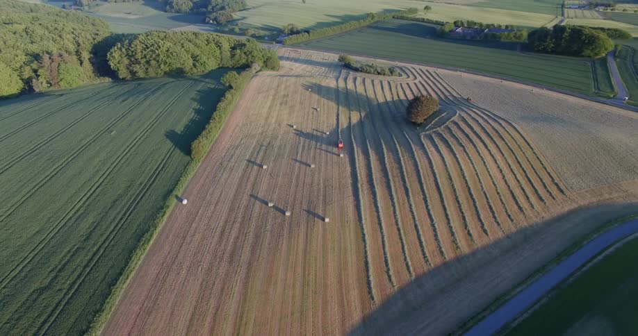 Crops cover agricultural land
