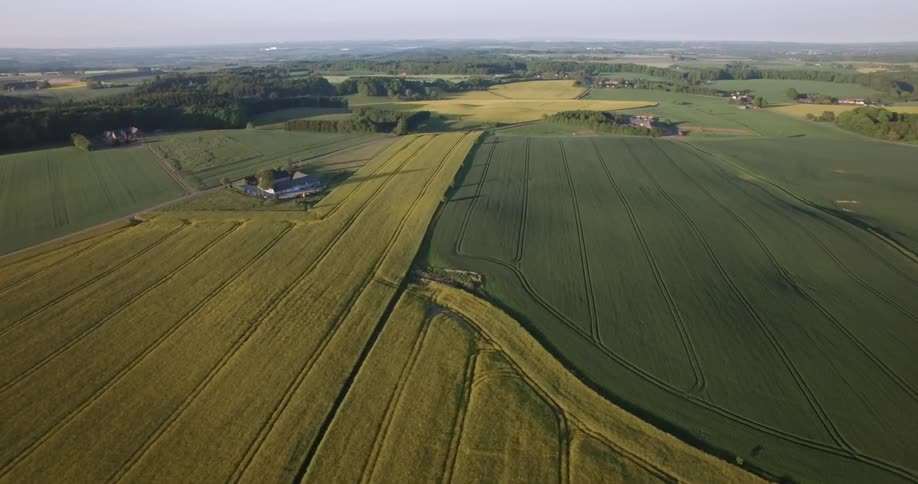 Farm fields are stretching out across a landscape in daylight