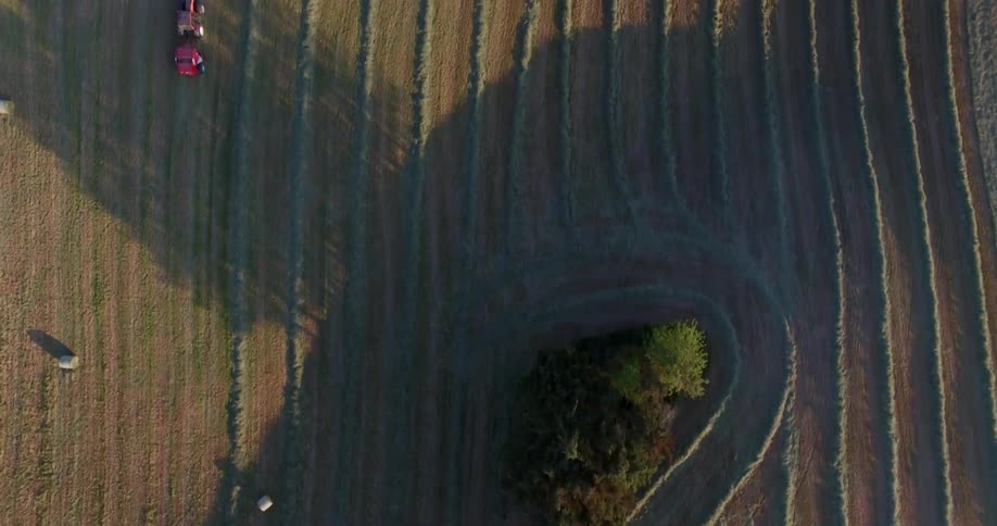 Farm equipment travels down a field harvesting the crops