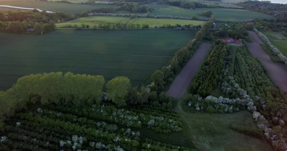Crops and trees cover the agricultural land