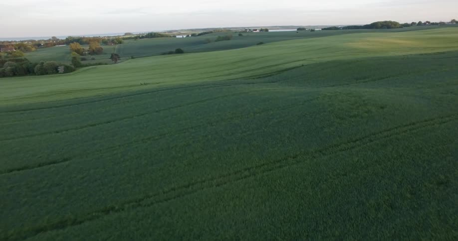 Grass and crops cover the farmland