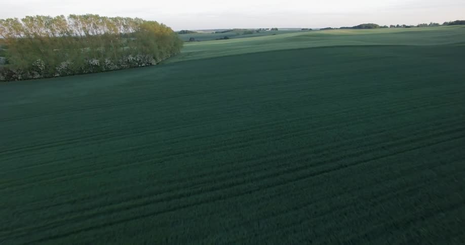 Grass and crops cover the farmland