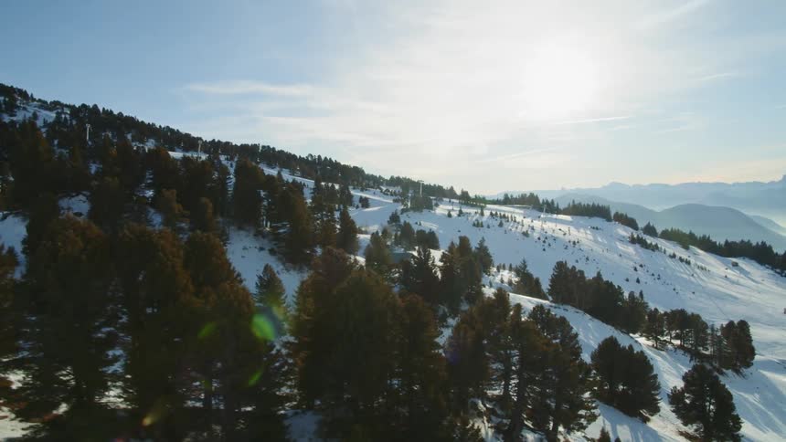 Sun shines down on tree covered snowy hills