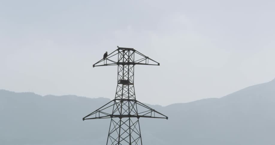 A bird sits perched atop an electrical tower