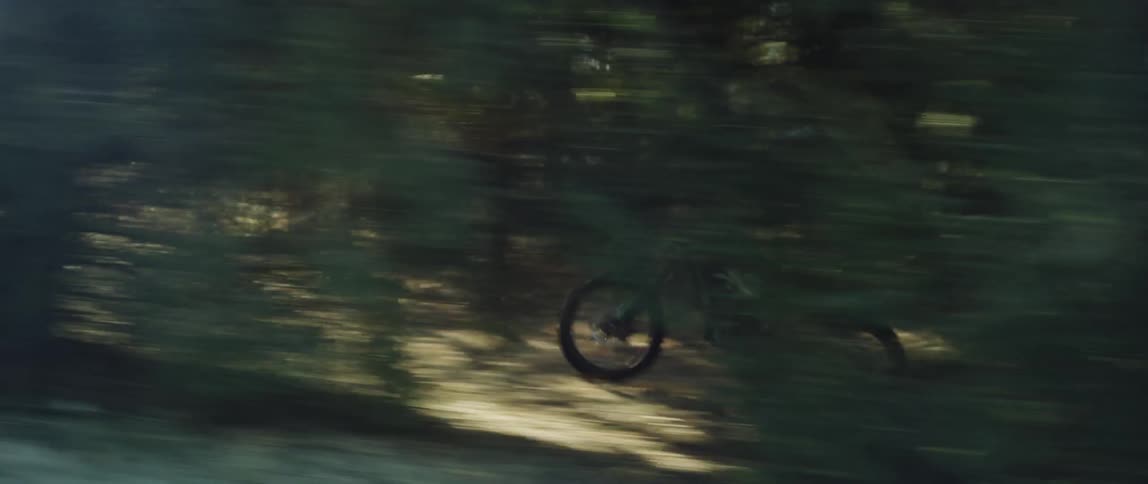A dirt bike rider speeds through the woods