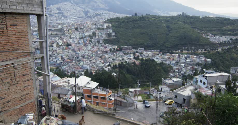 A large crowded city is viewed from a hillside