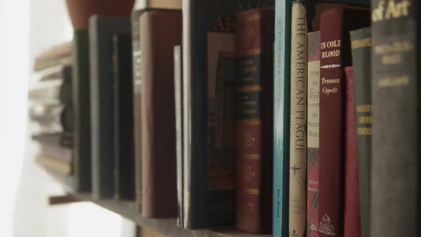 Books are lined up on a shelf