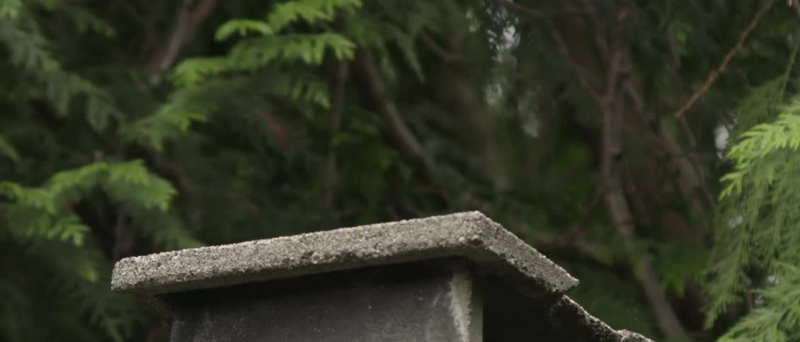 A bird flies off from a perch