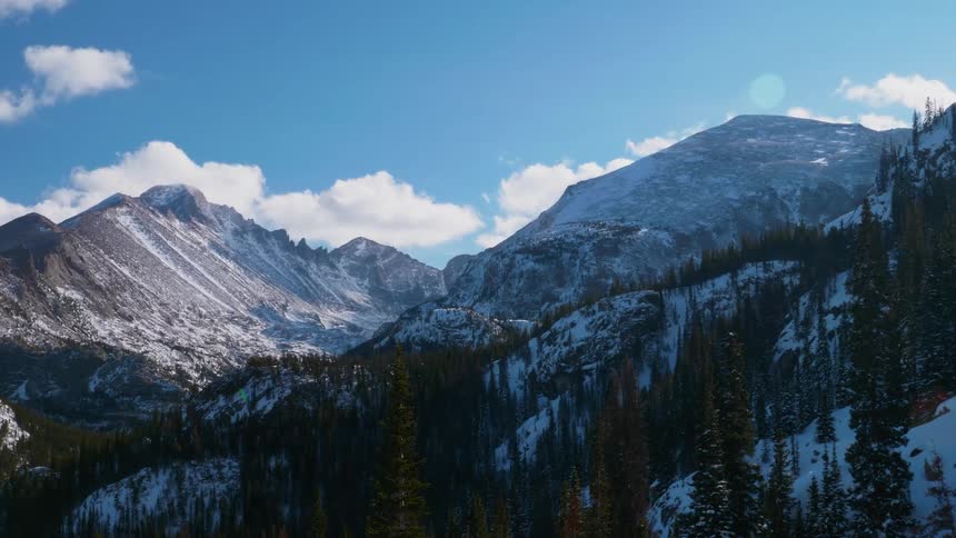 Forest trees and snow covered peaks on a sunny day
