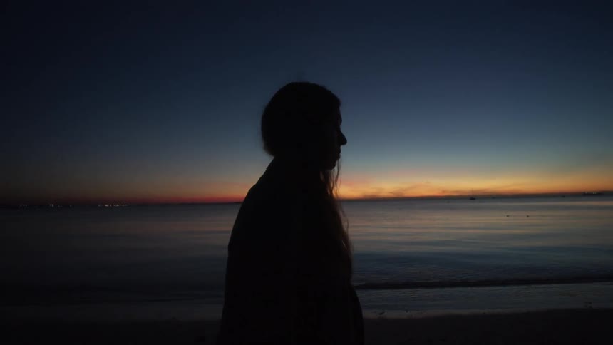 A person is walking on the beach at dawn