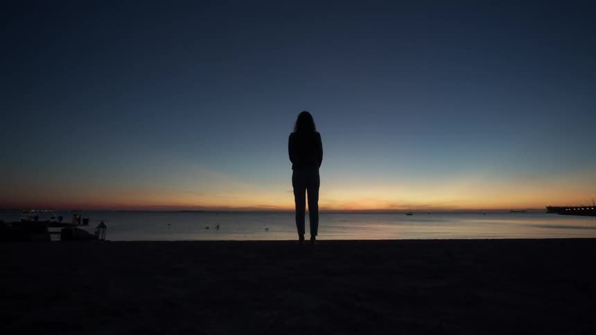A woman stands on the beach shore as birds fly