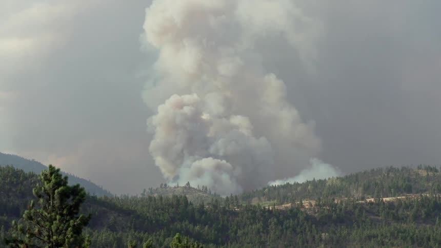 Smoke rises up from behind tree covered mountains