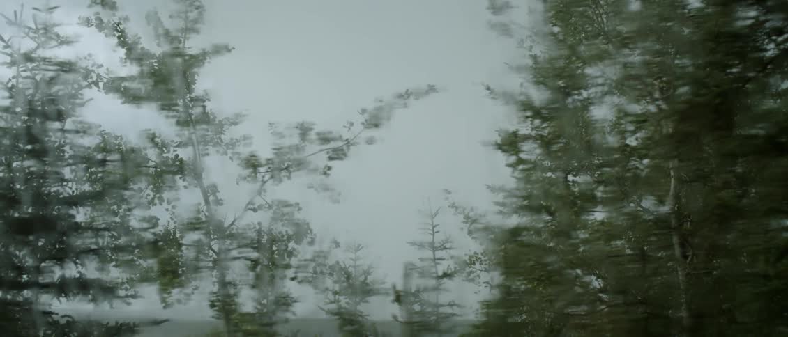 Window blurred with rain shows trees blowing in the wind outside
