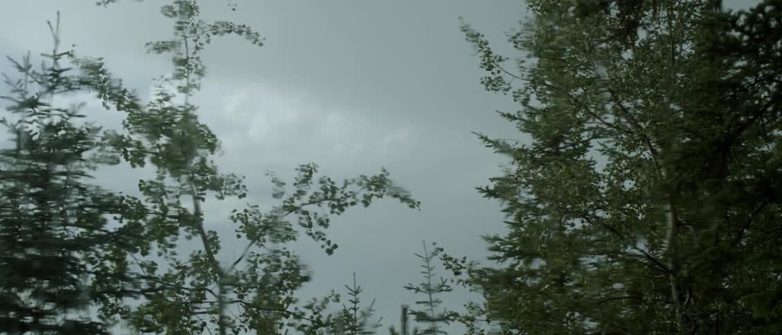 Clouds roll over trees on a windy day