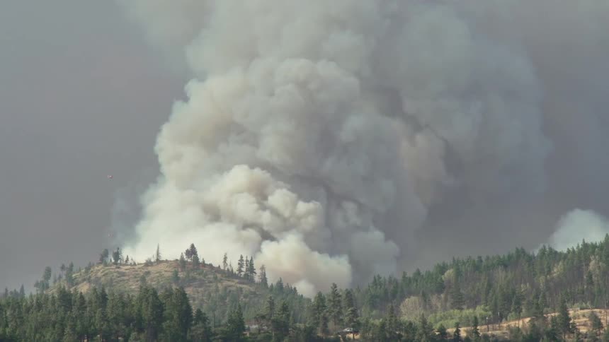 Smoke from a brush fire is billowing up into the sky in daylight