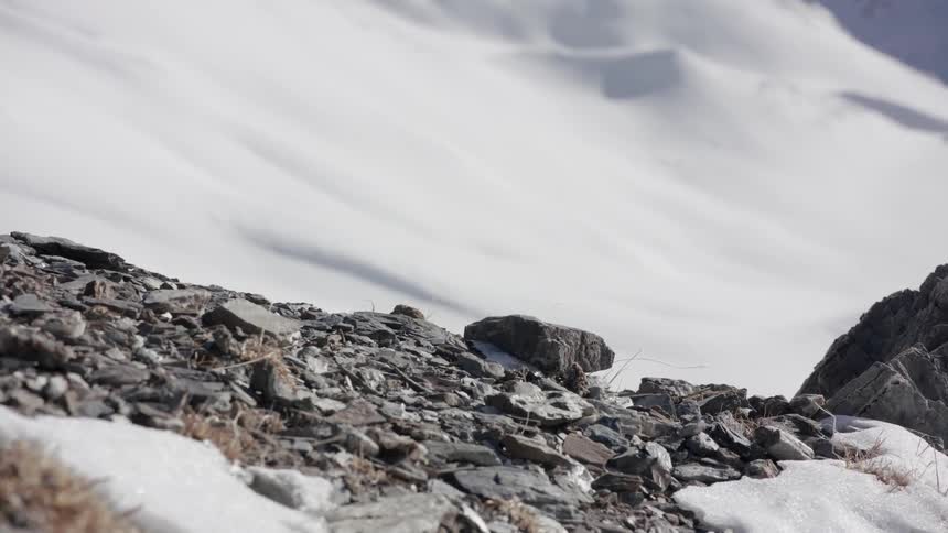 Snow covers the side of the mountain
