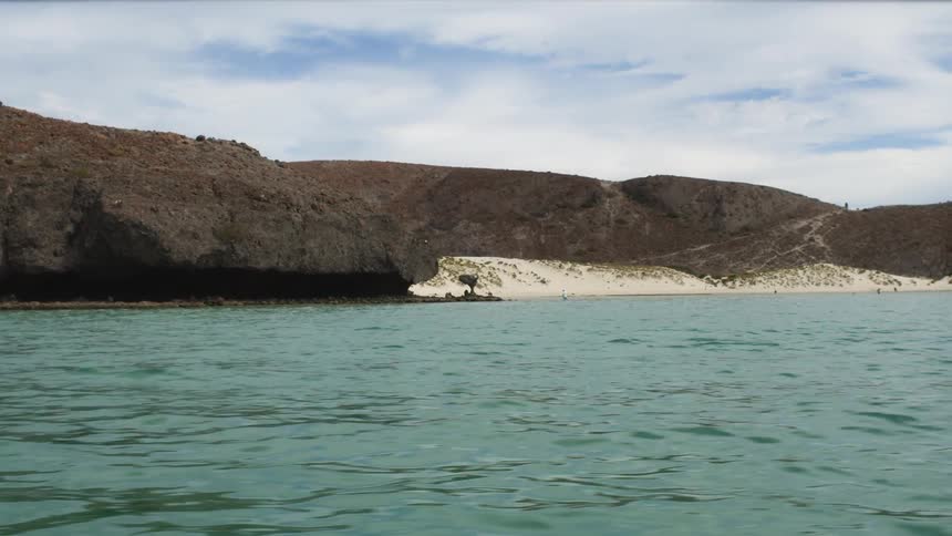 Ocean water is lapping a rugged coastline in daylight