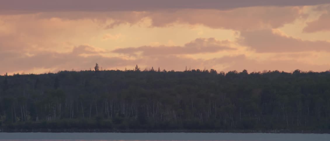 Clouds over trees along the coast at sunset