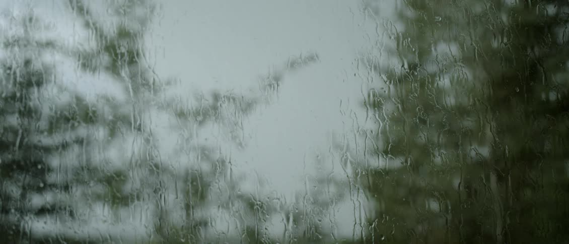 Window blurred with rain shows trees blowing in the wind outside