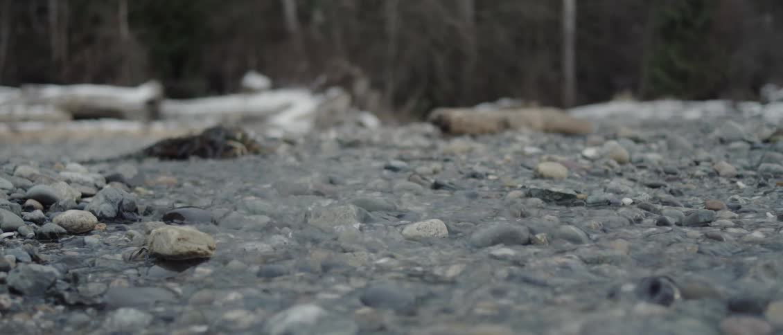 Water flowing over rocks in the woods