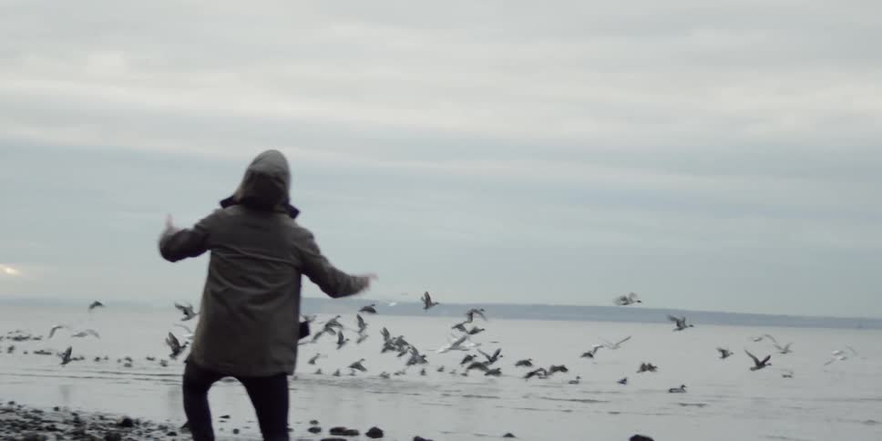 Person runs towards the water on the beach waving their arms and scaring birds