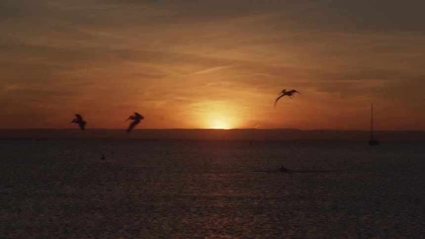 Birds fly low over water at sunset