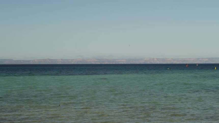Bird flying over open waters with mountains in the distance