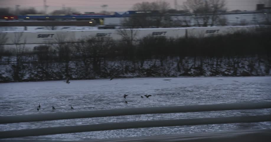 Ducks are flocking and landing on a frozen river at dusk