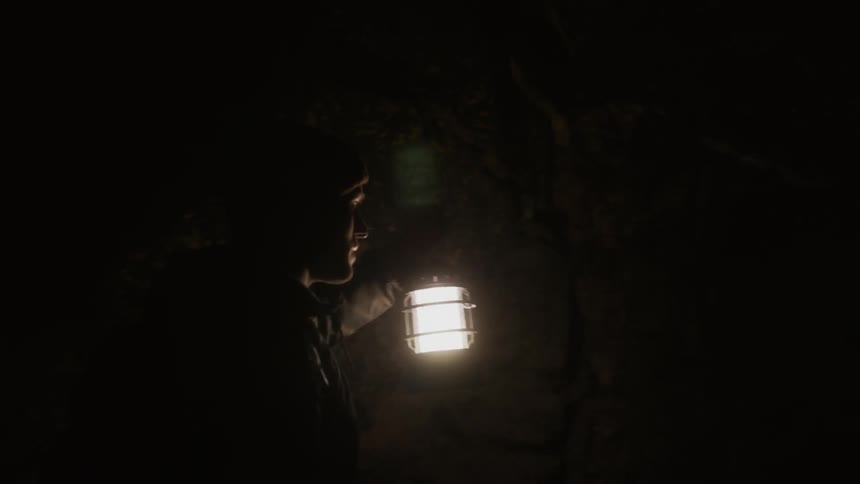 A man carrying a lantern walks through a wooded area at night
