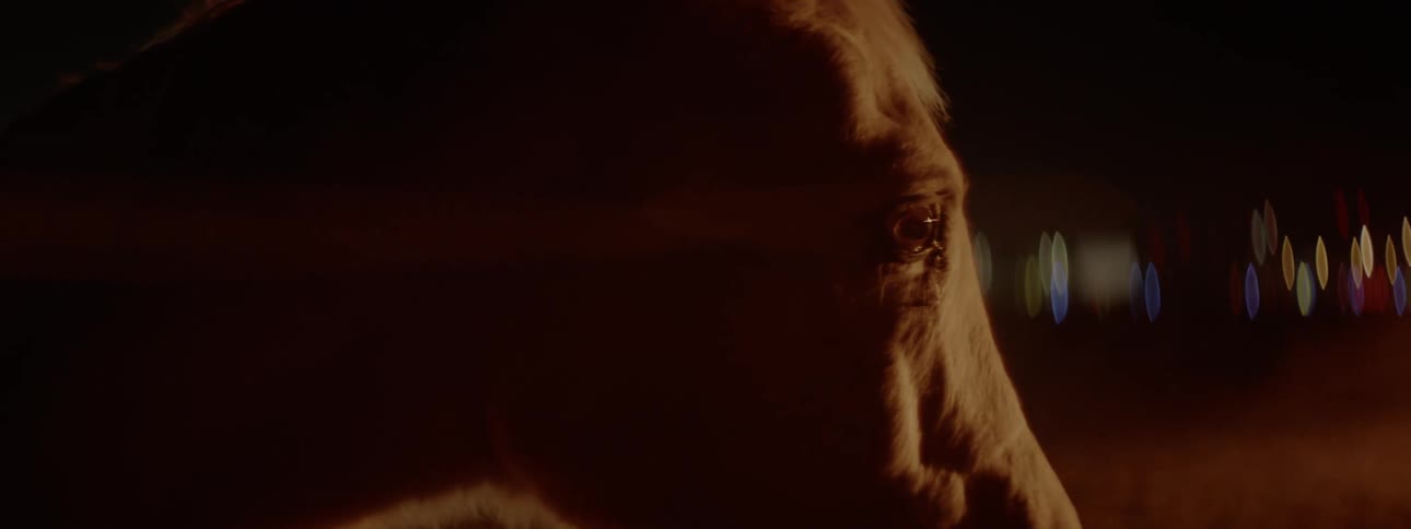 A horses mane blows in the wind at night
