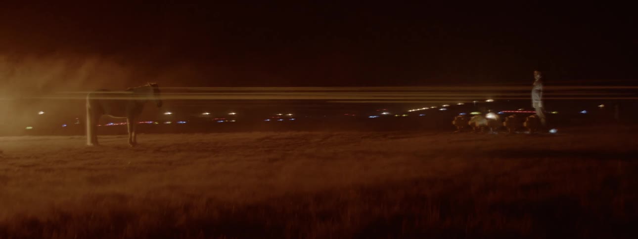 Horse stands in a grassy field at night