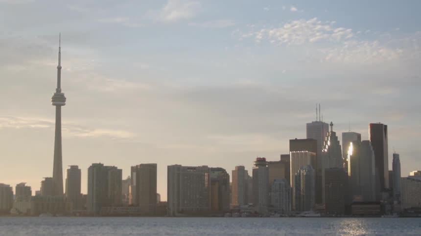 Buildings stand tall in the city