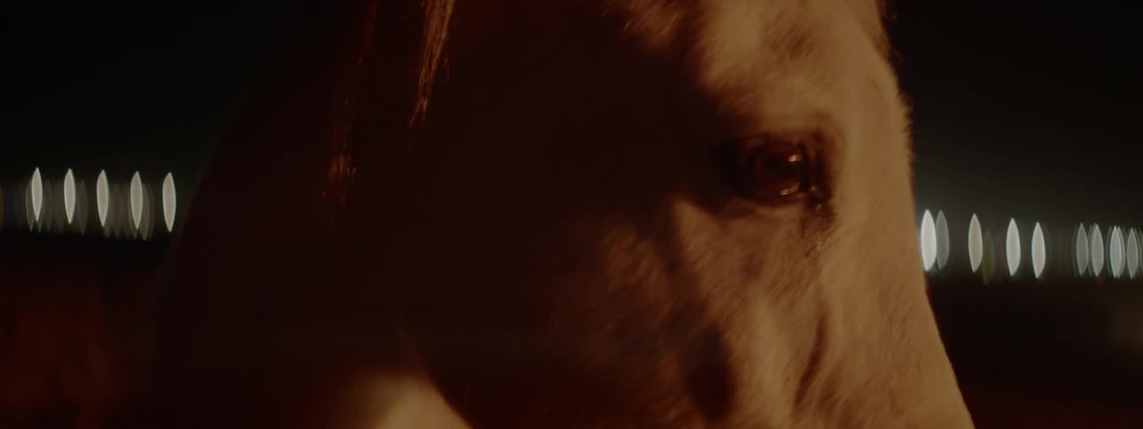 A horse blinks and turns its head