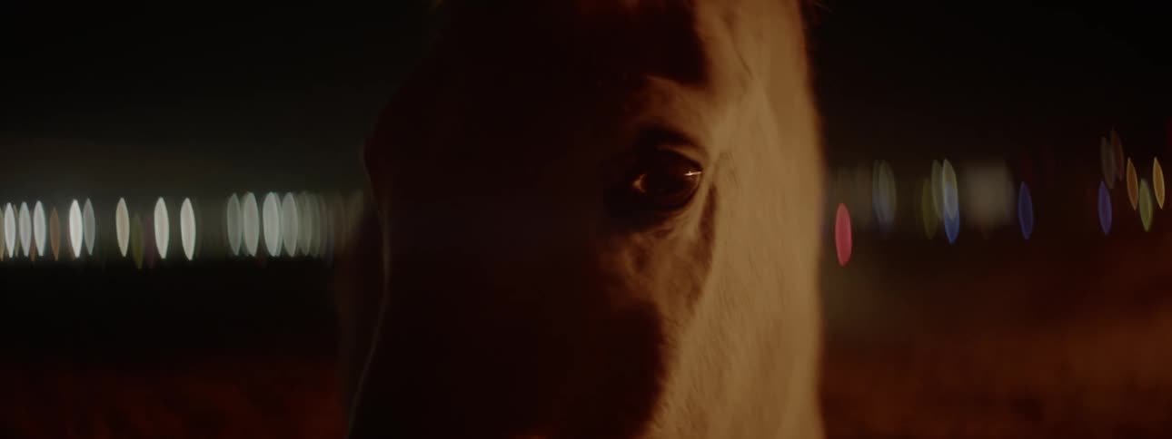 Horse stands outside at night
