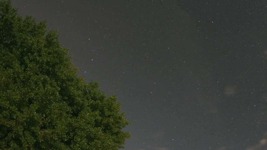Stars are shown behind a tree