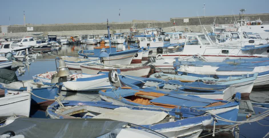 Boats sit docked on the water