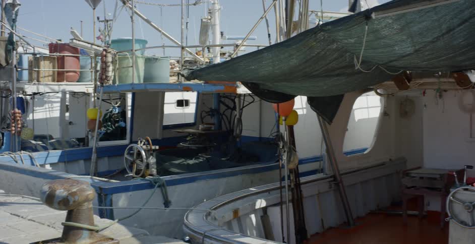 Fishing boats in harbor on sunny day