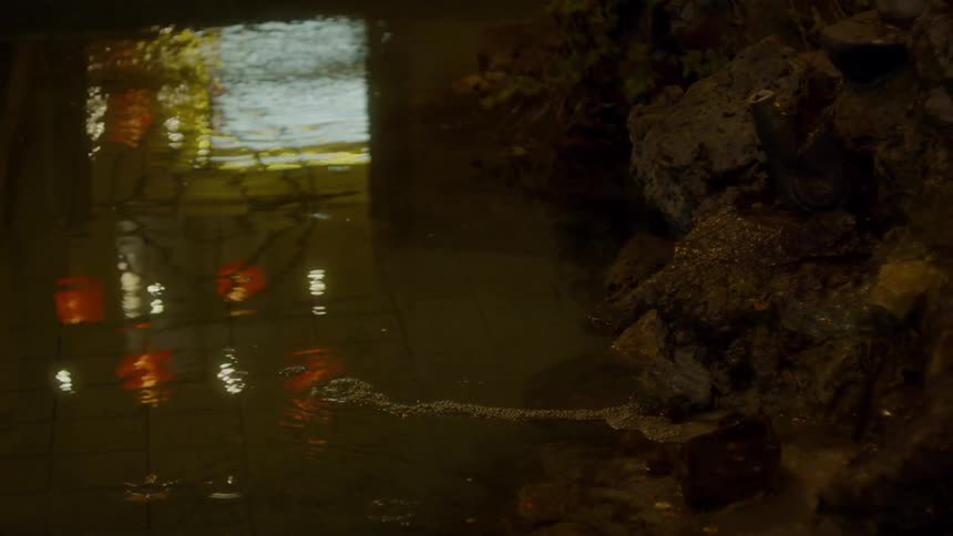 The puddle of water is reflecting the lights at night