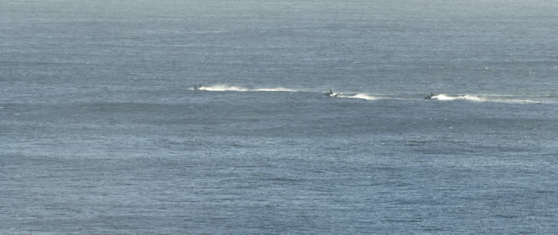 People are riding jet skis in the ocean