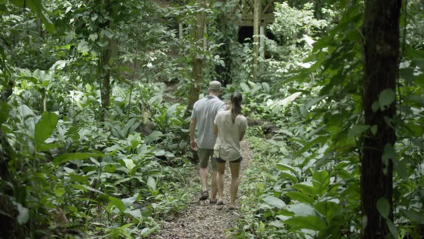 A man and woman hold hands while walking in a forest