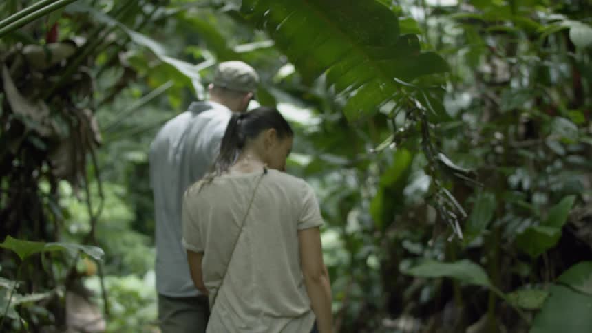 Man and woman walk through leafy foliage