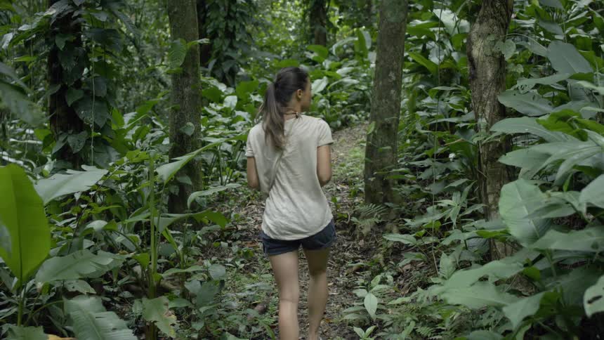 A woman hikes through a tropical forest