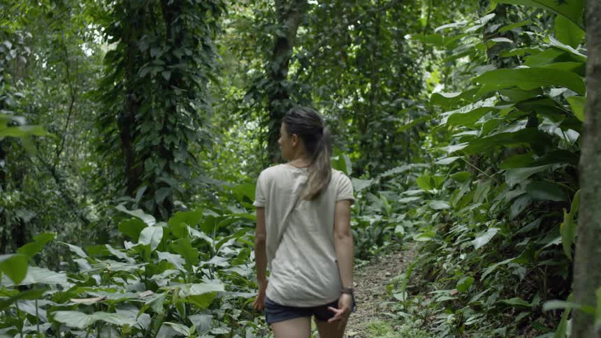 Woman walks in the forest on a sunny day