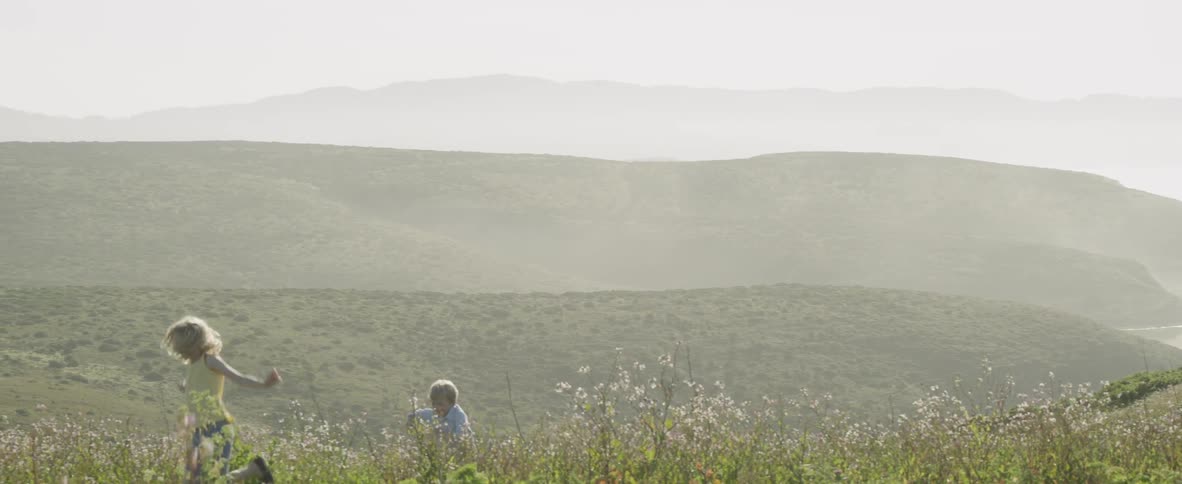 Children are running through the flowers on the hills